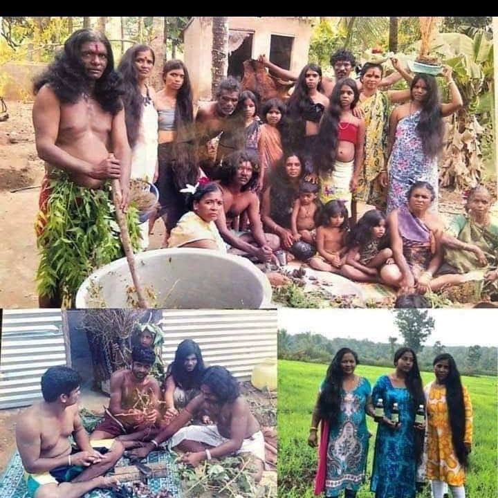 ADIVASI KARNATAKA HAKKI PIKKI HAIR OIL